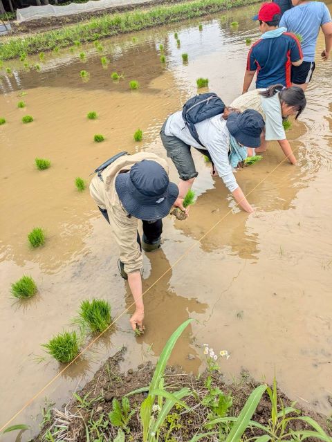 越谷市で田植え体験に参加しました！