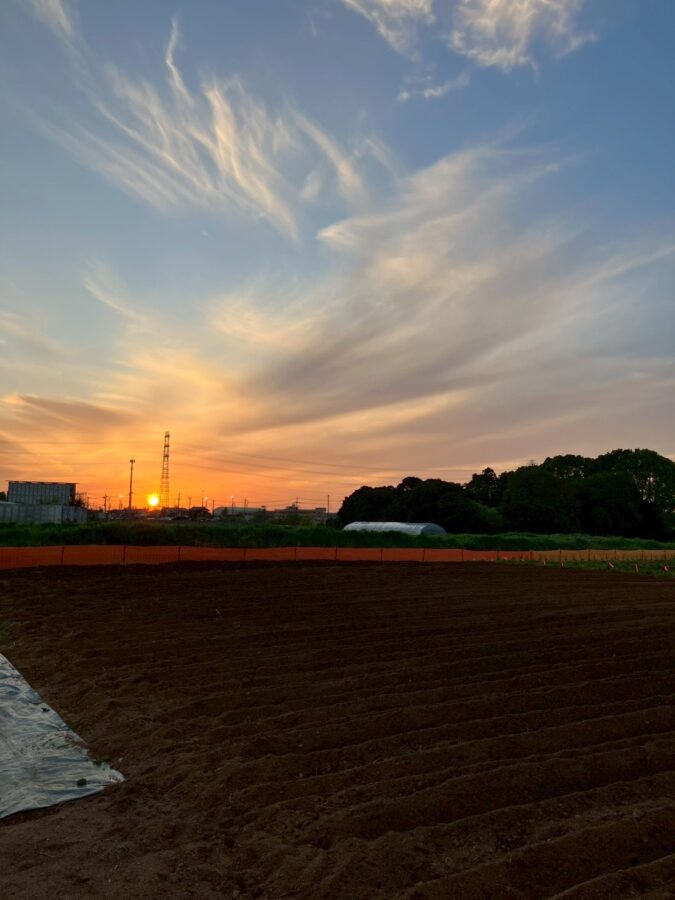 畑に刻まれた「八十八」の意味