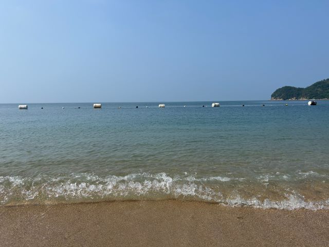 自然塩のセミナーに参加しました。