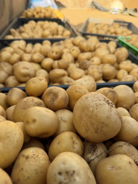 じゃがいも掘りを行いました！～土と作物の力を感じた一日～